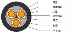 3*2.5，3*3，3*4，3*6，3*10，3*16，3*25屏蔽電纜結(jié)構(gòu)圖