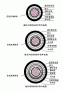 PTYA23、PTYA22鐵路鎧裝信號電纜